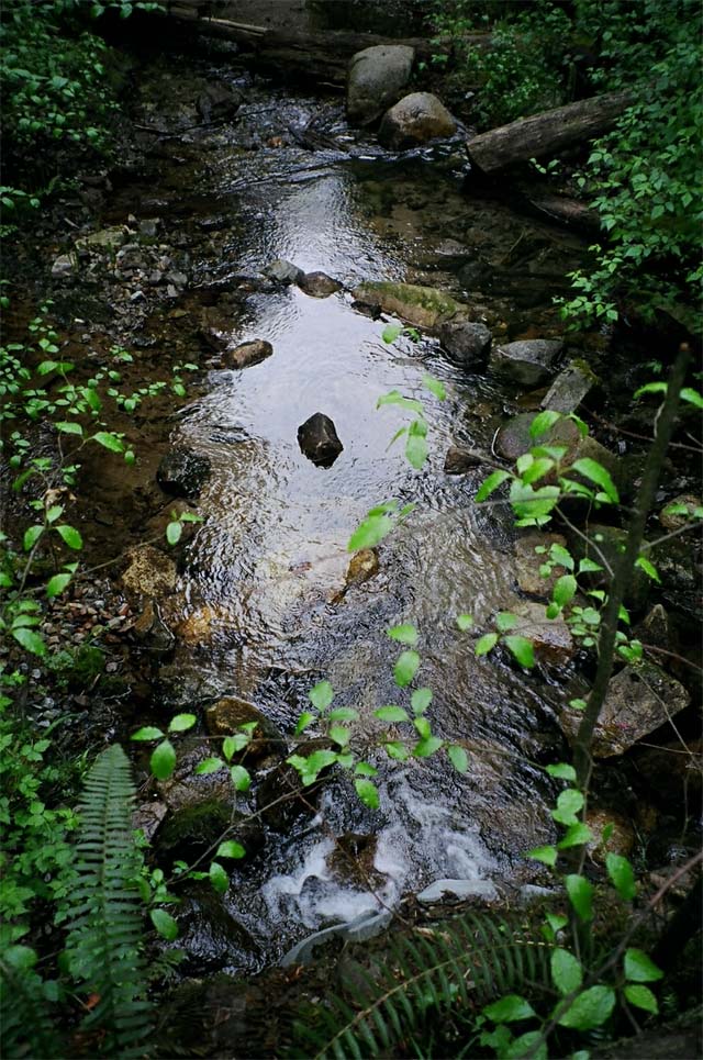 stream